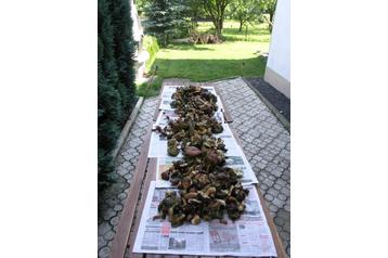 Repubblica Ceca Chata Staré Křečany, Esterno